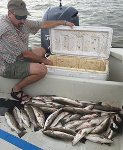 speckled trout fishing